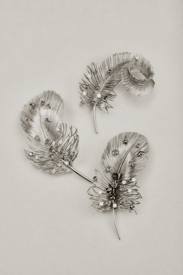 LPK31_SHOT_01_001_V01_DEF_RVB